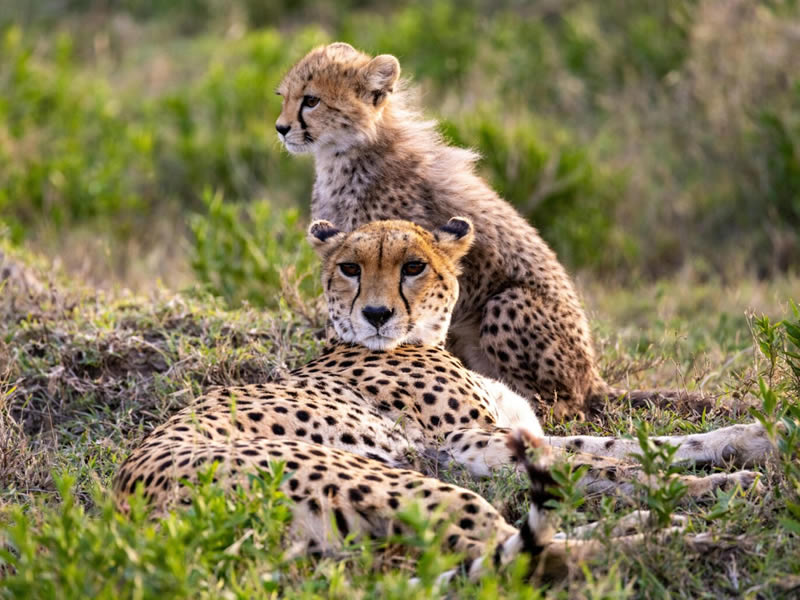 Getaway Expeditions, Nairobi